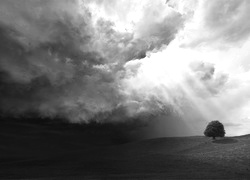 Szary + Sepia