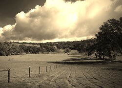 Szary + Sepia