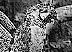 Skamielina