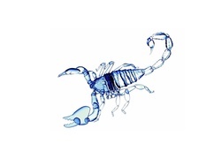 Negatyw