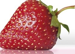 Oryginalny obrazek