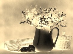 Sepia + Negatyw