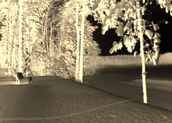 Sepia + Negatyw