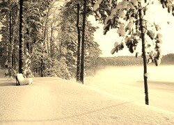 Szary + Sepia