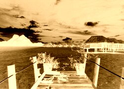 Sepia + Negatyw