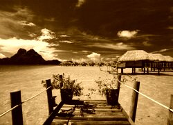 Sepia