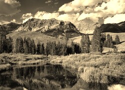 Szary + Sepia