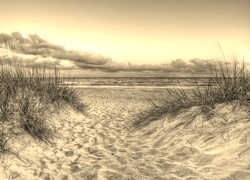 Sepia