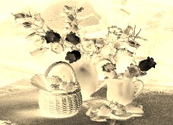 Sepia + Negatyw