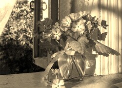 Szary + Sepia