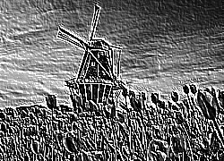 Skamielina