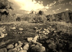 Szary + Sepia