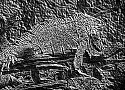 Skamielina