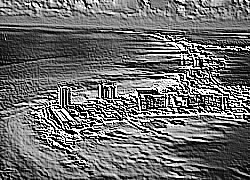 Skamielina