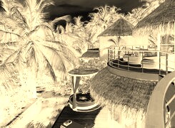 Sepia + Negatyw