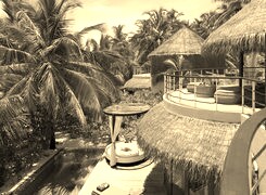 Szary + Sepia