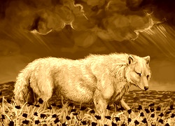 Sepia