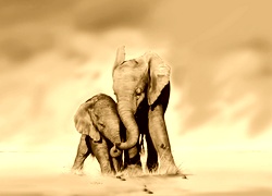 Sepia