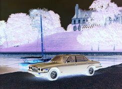 Negatyw