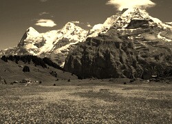 Szary + Sepia