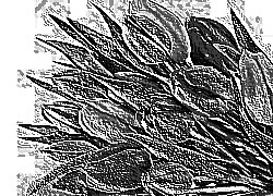 Skamielina