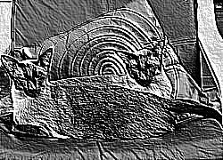 Skamielina