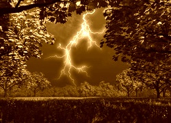 Sepia
