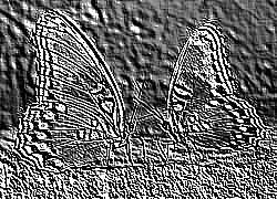 Skamielina