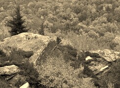 Szary + Sepia