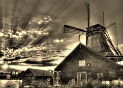 Szary + Sepia