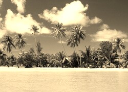 Szary + Sepia