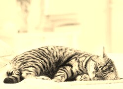 Sepia