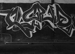 Szary
