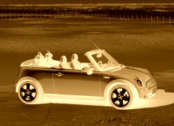 Sepia + Negatyw