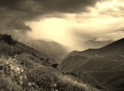 Sepia