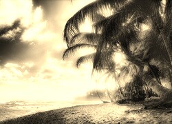 Szary + Sepia