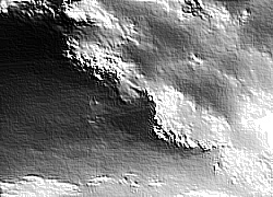 Skamielina