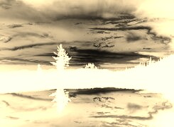 Sepia + Negatyw