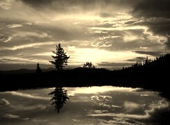Sepia