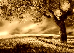 Sepia