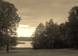 Szary + Sepia