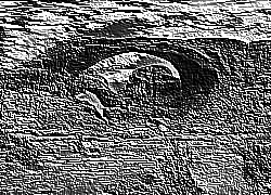 Skamielina
