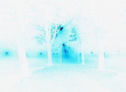 Negatyw