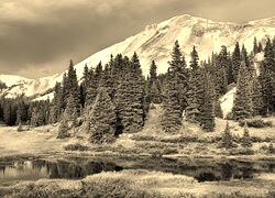 Szary + Sepia