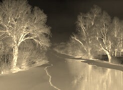 Sepia + Negatyw