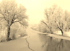 Szary + Sepia