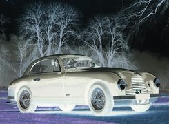 Negatyw
