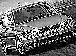 Skamielina