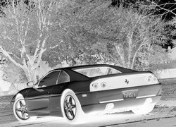 Szary + Negatyw