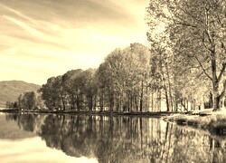 Szary + Sepia